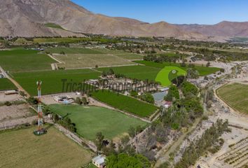 Parcela en  Vicuña, Elqui