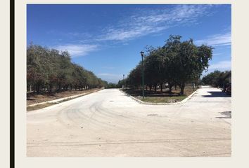 Lote de Terreno en  Fraccionamiento Vista Jardines, Bucerías, Nayarit, México