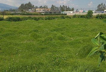 Terreno Comercial en  Machachi, Ecuador