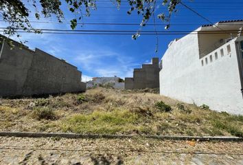 Lote de Terreno en  Paseo De Las Planicies, Cortijo San Agustin, San Agustín, Jalisco, México