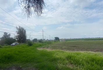 Lote de Terreno en  Carretera A San Sebastian El Grande, Los Encinos, Santa Anita, Jalisco, México