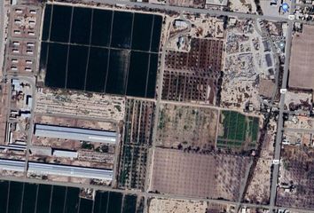 Lote de Terreno en  Colonia Agrícola La Popular, Durango, México