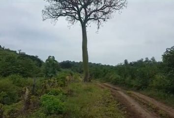 Terreno Comercial en  Salinas, Guayaquil, Ecuador