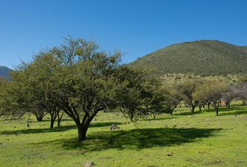 Parcela en  Curacaví, Melipilla