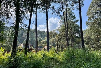 Lote de Terreno en  Camino A Cerro Gordo, Valle De Bravo, México, Mex