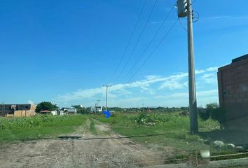 Lote de Terreno en  Calle Álamo Plateado, Culiacán, Sinaloa, 80301, Mex