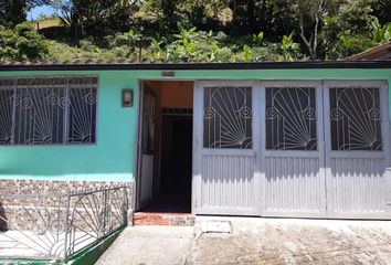 Casa en  Ruth, Ibagué, Tolima, Colombia