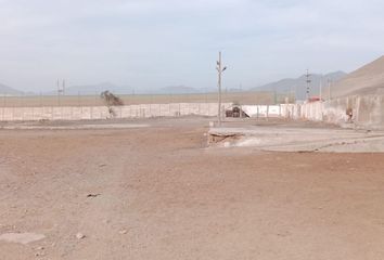 Terreno en  Los Eucaliptos 100, Lurín, Perú