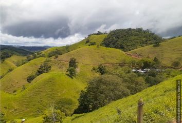 Villa-Quinta en  Caracolí, Antioquia, Colombia