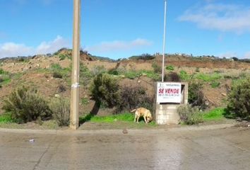 Lote de Terreno en  Parque Industrial Tecate, Tijuana-mexicali, Tecate, Baja California, México