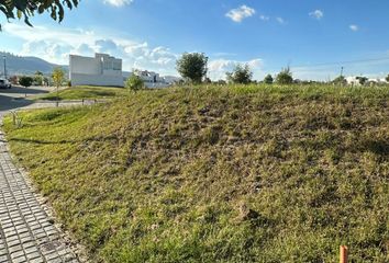 Lote de Terreno en  Parque Anahuac, Boulevard De Los Volcanes Sur, Lomas De Angelópolis, Puebla, México