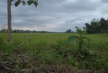 Terreno Comercial en  Naranjito