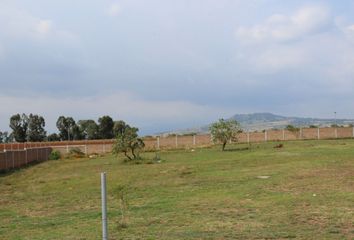 Lote de Terreno en  Yecapixtla, Morelos, México