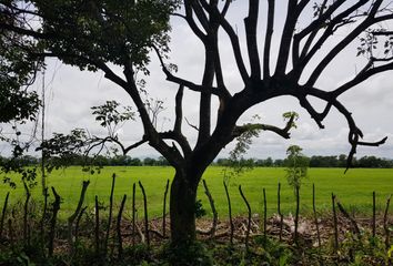 Lote de Terreno en  Maria La Baja, Bolívar