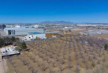 Lote de Terreno en  Juárez-porvenir, Bermúdez, Juárez, Chihuahua, México