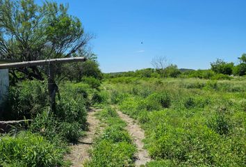 Lote de Terreno en  La Petaca, Linares, Nuevo León, México