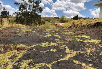 Terreno Comercial en  Valle, Cuenca