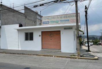 Local comercial en  Avenida Fray Andrés De Olmos 211, Rafael Lucio, Xalapa-enríquez, Veracruz, México