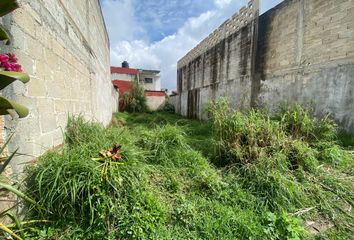 Lote de Terreno en  Orquídeas, Coatepec, Coatepec, Veracruz