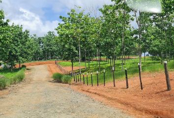 Lotes y Terrenos en  Mendoza, Panamá