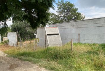 Lote de Terreno en  Calle Tepozán, San Buenaventura Atempan, Tlaxcala, 90010, Mex