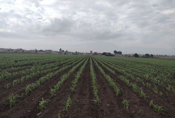 Lote de Terreno en  Tenango Del Valle, Estado De México, México