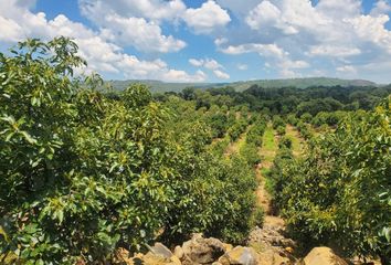 Rancho en  Zacapu, Michoacán, México