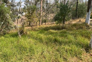 Lote de Terreno en  Pingüinos, Lago De Guadalupe, Cuautitlán Izcalli, Estado De México, México