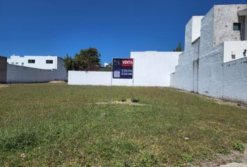 Lote de Terreno en  Los Laureles, Camino A Las Moras, Santa Anita, Jalisco, México