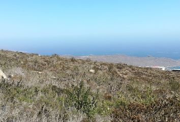 Parcela en  Trigo Blanco, La Serena, Chile