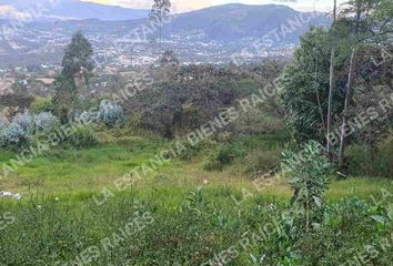 Terreno Comercial en  Nayón, Quito