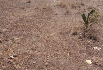 Lote de Terreno en  Zumpango, Estado De México, México