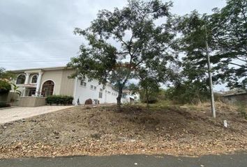 Terreno Comercial en  Lago De Capeira, Via A Daule, Guayaquil, Ecuador