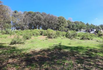 Lote de Terreno en  San Martín Cachihuapan, Estado De México, México