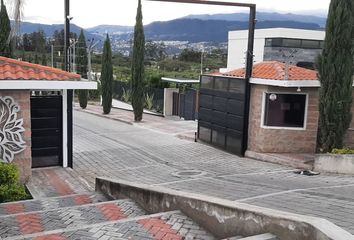 Terreno Comercial en  Tumbaco, Quito