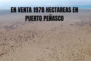 Lote de Terreno en  Nueva, Puerto Peñasco