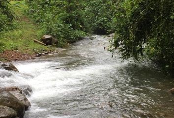 Terreno Comercial en  Pedro Vicente Maldonado, Ecuador