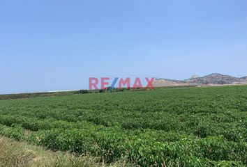 Terreno en  Fundo Las Salinas, Lurín, Perú