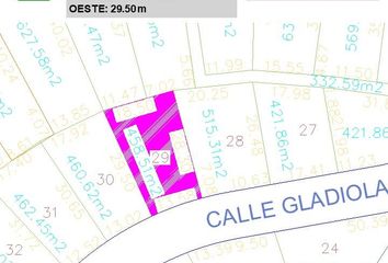 Lote de Terreno en  Fraccionamiento Rancho San Diego, Tonatico - Taxco, Ixtapan De La Sal, Estado De México, México