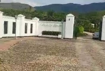 Lote de Terreno en  Carmen De Apicalá, Tolima, Colombia