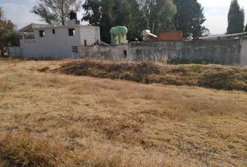 Lote de Terreno en  San Luis Apizaquito, Tlaxcala, México