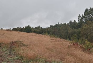 Parcela en  Anfión Muñoz, Villarrica, Chile