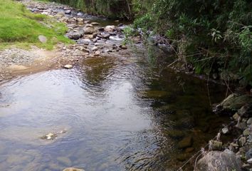 Lote de Terreno en  Carmen De Viboral, El Carmen De Viboral, Antioquia, Colombia