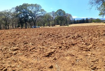 Lote de Terreno en  San Martín Cachihuapan, Estado De México, México