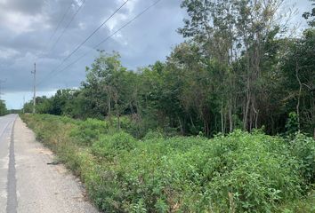 Lote de Terreno en  Avenida Huayacán, Benito Juárez, Quintana Roo, Mex