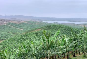 Terreno Comercial en  Santa Elena