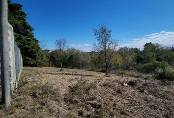 Terrenos en  Calle Los Reartes 2-98, Villa Giardino, Punilla, Córdoba, Arg