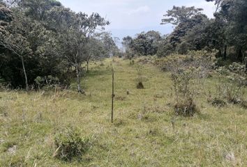Lote de Terreno en  San Cristóbal, Medellín, Antioquia, Colombia