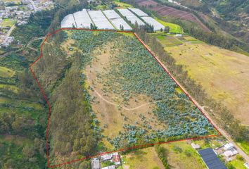 Terreno Comercial en  Checa, Ecuador