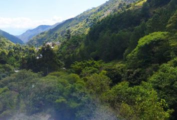 Terreno Comercial en  Rumishitana, Loja, Ecuador